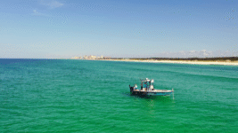 February Fishing Report