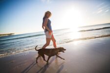 Pet Friendly Places to Stay in Panama City Beach
