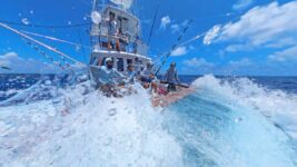 April Fishing Report