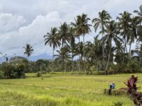 The Feeling We Forgot… Until This Trip Brought It Back