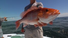 July Fishing Report