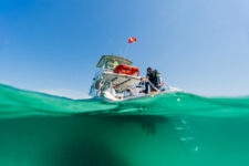 Diving in Panama City Beach