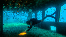 Scubadiving in St. Andrews State Park