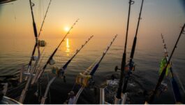 October Fishing Report